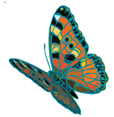 Butterfly 0
